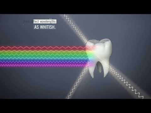 Adaptive Light Matching (EN)