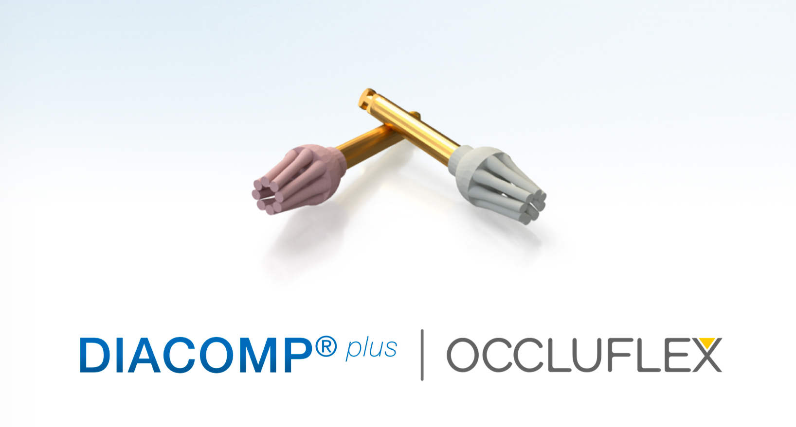 EVE DiaComp Occluflex - Image 3