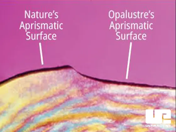 Photo courtesy of Dr. Renato Herman Sundfeld