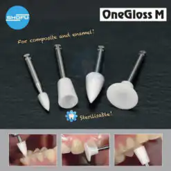 Alternative view of Shofu OneGloss M