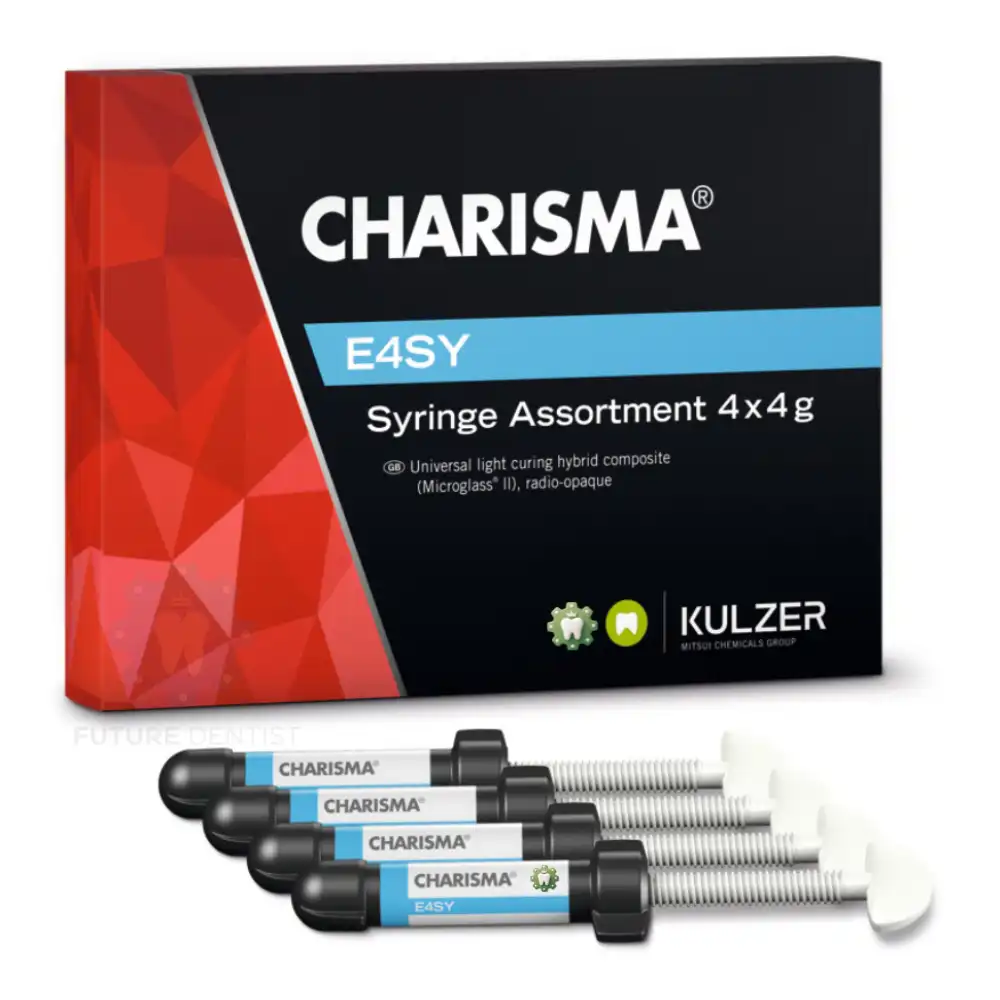Kulzer Charisma Easy
